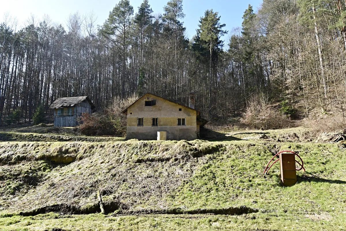 Fotka 10 z 12